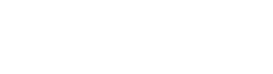 STRAVITY